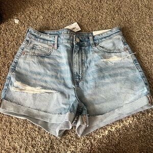 American Eagle Outfitters Light Wash Distressed Denim Shorts